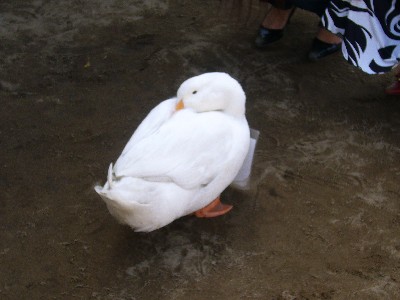 よく寝れるね。。。