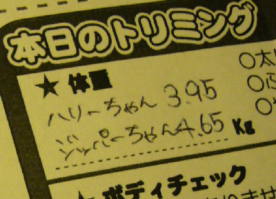 じ、じぱちゃん、、、