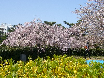 白山公園にて